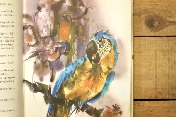 画像4: 【古本】1981年（Medvekeresztelő） (4)