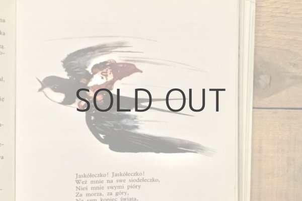 画像9: 【古本】1979年（O KRASNOLUDKACH I O SIEROTCE MARYSI） (9)