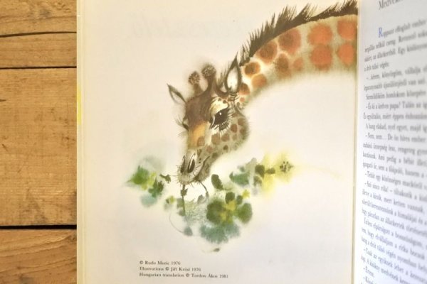 画像3: 【古本】1981年（Medvekeresztelő） (3)