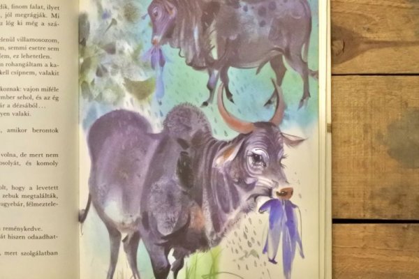 画像7: 【古本】1981年（Medvekeresztelő） (7)