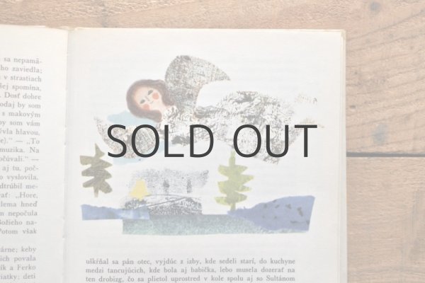 画像10: 【古本】1972年（BABIČKA） (10)