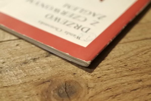 画像10: 【古本】1976年（DRZEWO Z CZERWONYM ŻAGLEM） (10)