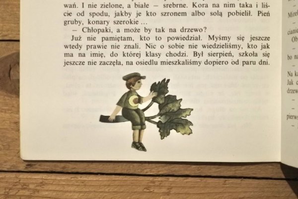 画像7: 【古本】1976年（DRZEWO Z CZERWONYM ŻAGLEM） (7)