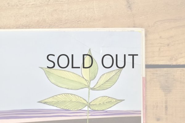 画像18: 【古本】1977年（THE TRUE CROSS） (18)