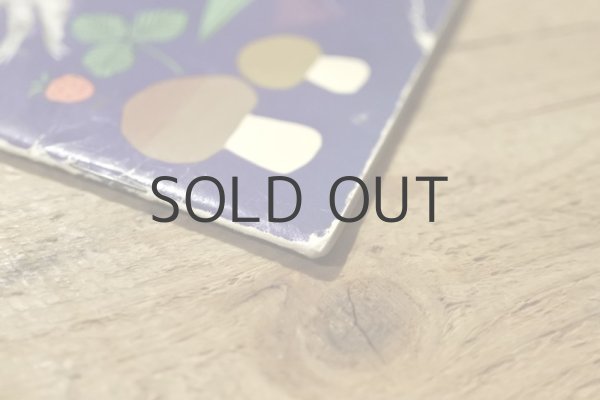 画像14: 【古本】1978年（Śpioszka popielica） (14)