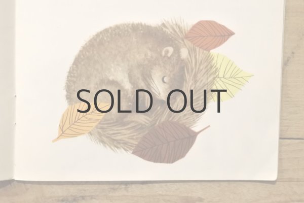 画像10: 【古本】1978年（Śpioszka popielica） (10)