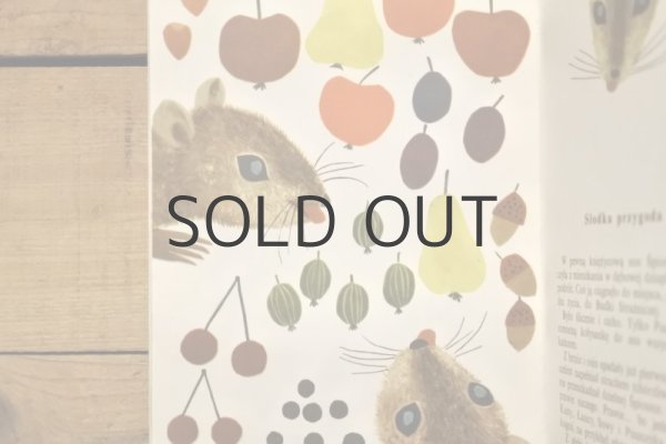 画像5: 【古本】1978年（Śpioszka popielica） (5)