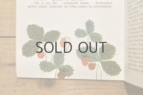 画像8: 【古本】1978年（Śpioszka popielica） (8)