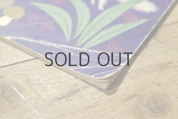 画像15: 【古本】1978年（Śpioszka popielica） (15)