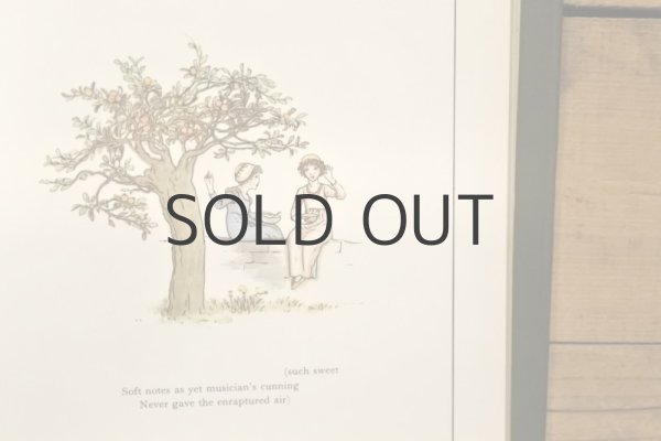 画像13: 【古本】1960年代（THE PIED PIPER OF HAMELIN） (13)