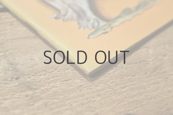 画像9: 【古本】1973年（CUENTO DE LA PRINCESITA MUERTA Y LOS SIETE PALADINES） (9)