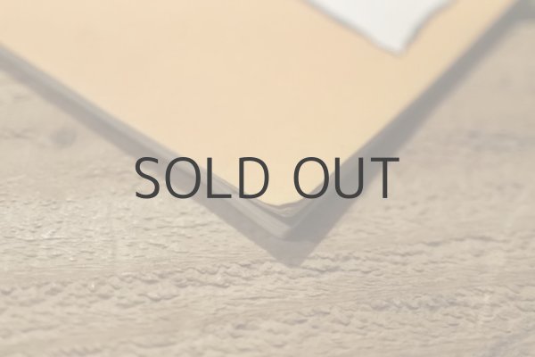 画像11: 【古本】1973年（CUENTO DE LA PRINCESITA MUERTA Y LOS SIETE PALADINES） (11)