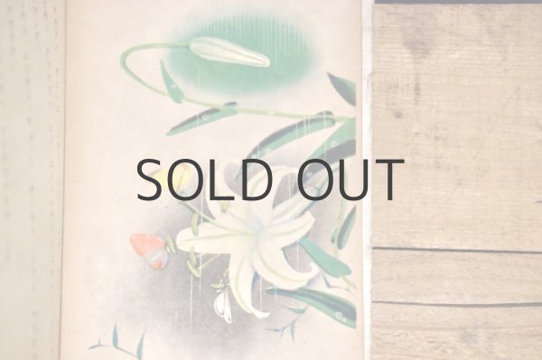 画像11: 【古本】昭和19年（サザナミ オトギ エブンコ タンポポノオヒッコシ） (11)