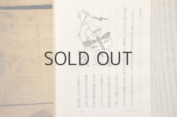 画像7: 【古本】昭和16年(日本昆虫記) (7)