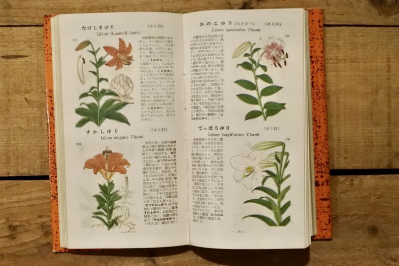 学生版 原色植物図鑑 牧野富太郎著 - 本